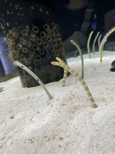 _Meimi_ Public 사진 4