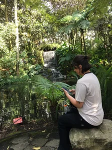 Soul_Catleya En la naturaleza Bilde 4