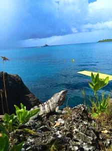 🏖️ de Lunara_  2 Imagens