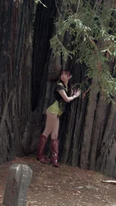 onyxascended redwoods Immagine  2