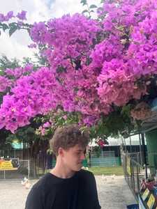 dymonted MOOD Bilde 2