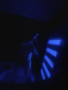 Public de gryzoon  3 Imagens