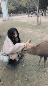 cu003 Public Immagine  4