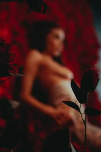 Assole Million Scarlet Roses Pic 9