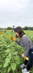 a band-aid to the heart / una tirita para el corazón de 1julianasalazar  Imagens