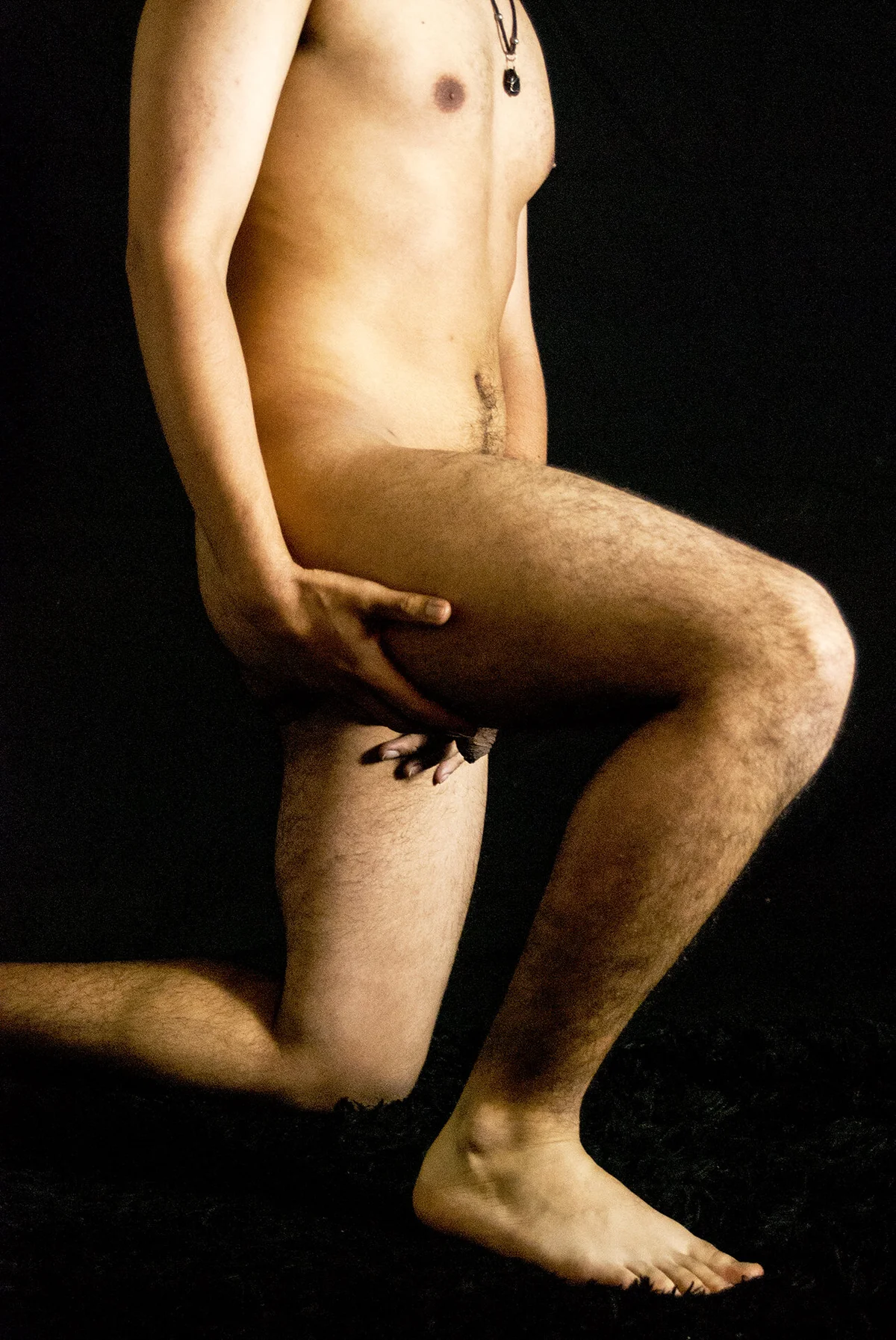 Трендове зображення  8073 Adonibaskerville4