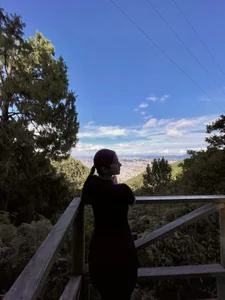 pamela__mar 🏞️🌳🌿🍀🌻  3. fénykép