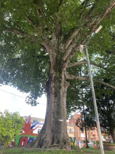 Annycolin_のPublicの 5枚の写真