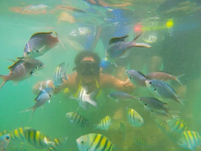 samanthaeliott22 kullanıcısının Summary of my years ago albümü -  8 fotoğraf