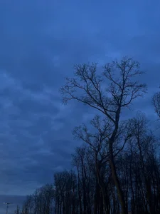 SonjaMonje A selection from the gallery зображення 2