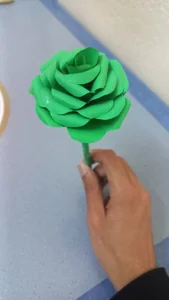 chaymae_nah_ The most beautiful gift a beautiful green flower 💚🖤 Pic