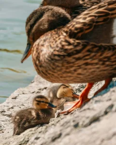 Spring 2026 de Nataly_cute  7 Imagens