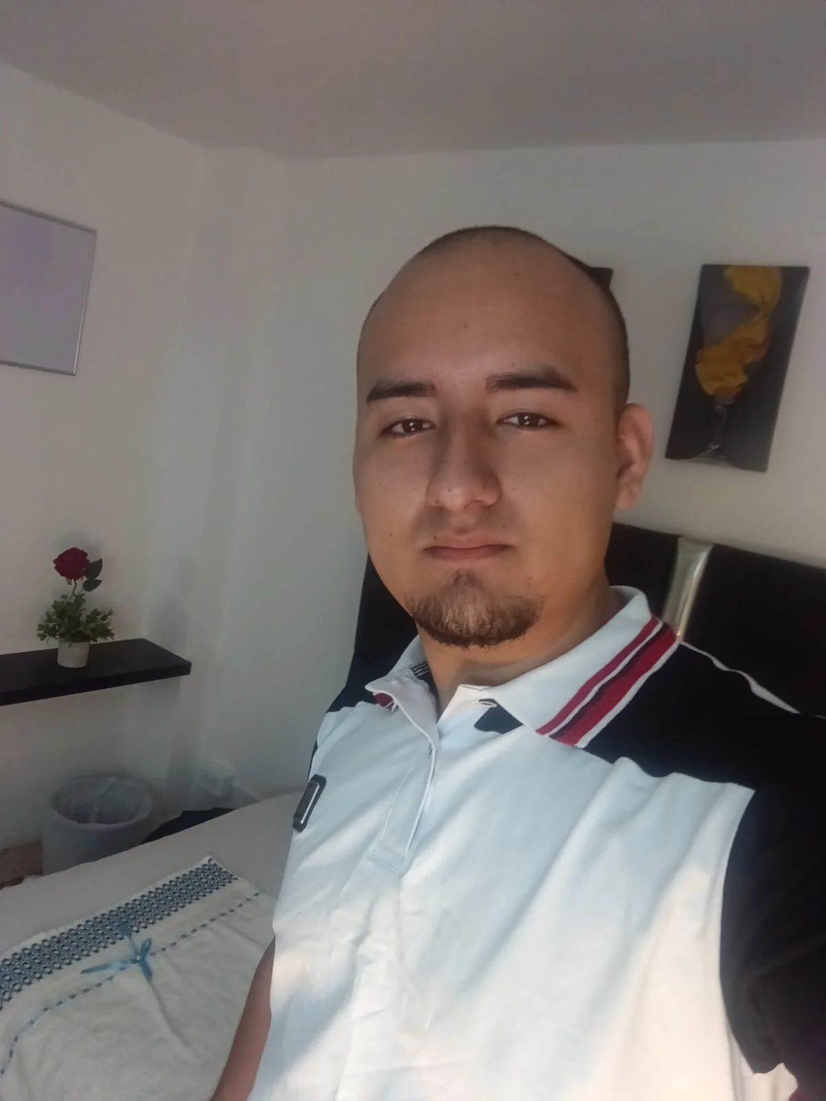 Elgranfranco24s Trending Plaatje 4599