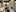 Anni_acker_b's photo