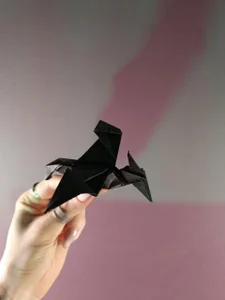 _HelenCarter My origami Pic