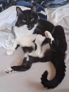 Public de pena633 Foto 6