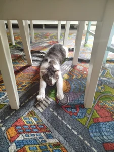 kulisek356 My Foto 6