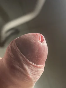 -D-a-d-d-yPublic Bild 4