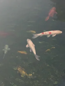 Lush-Office kullanıcısının Public albümü -  8 fotoğraf