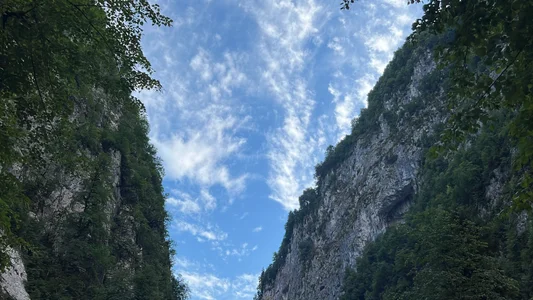 Evangeline_Lawrence_ Fav nature pic Foto 3