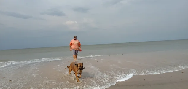 rocharly Public صورة واحدة|rocharly Public صورتان|rocharly Public  8 صور|rocharly Public  8 صورة