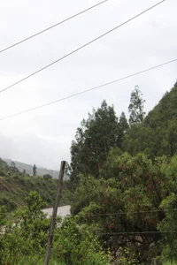 Zdjęcia Umaullucrazy69 Public:  5