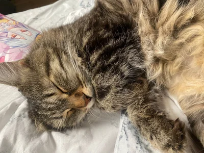 Zdjęcia KarriKasel Trop mignon 🧸🎀:  5