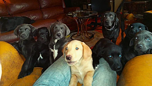 HunkofRock alpha Pic