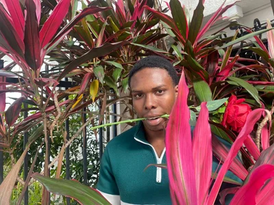 mike_aly 𝐑𝐨𝐦𝐚𝐧𝐭𝐢𝐜 𝐌𝐚𝐧 🌹  3. fénykép