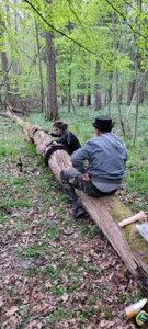 Zdjęcia MenaDreadfull Public:  6