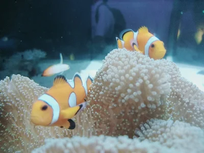 AMI___oO 旅行✈️ Foto 7