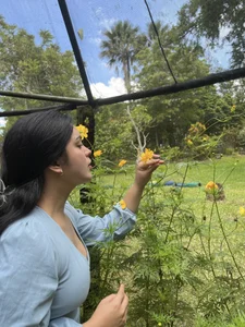 Where’s flower’s bloom so doe’s hope de TS-SimplyTheBest  3 photos