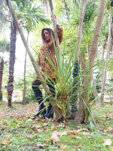 Public de Clarasense__  4 Imagens