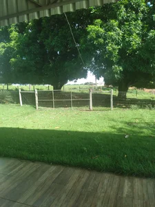 nori_dunda Norivaldo Foto