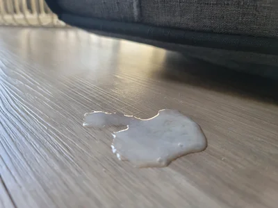 Public de _Layze_  8 photos