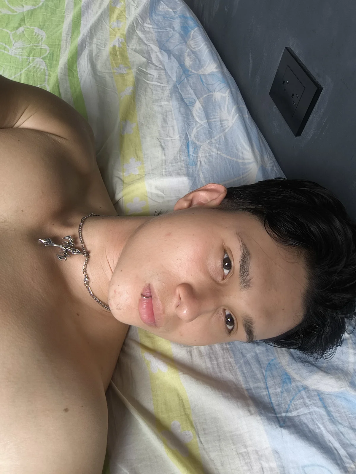 TeddyBear_07 Δημοφιλής εικόνα 7024