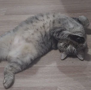 MelissaMays 😚😚😚 Immagine  2