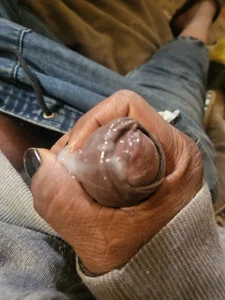 Nice_n_hairy580 Solo papi Pic 5