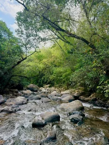Dallen_Grant to the river💦💦 Pic 4