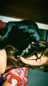 _kalypso_ Kitty Gambar 2