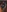 AskAveryAnything's photo