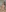 titty-cat's photo