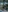 cherry_blossom__'s photo