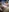 Madisonrouse's photo