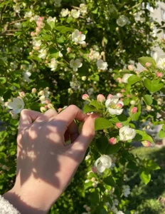 MilaDreamer Public Pic