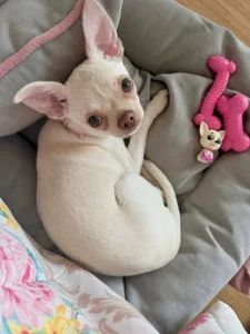 Wavy styling od LaveraMeling  3 snímek