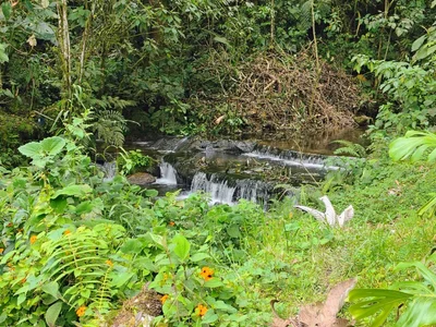 Sophia_wilsonn_のMy wonderful Colombiaの 6枚の写真