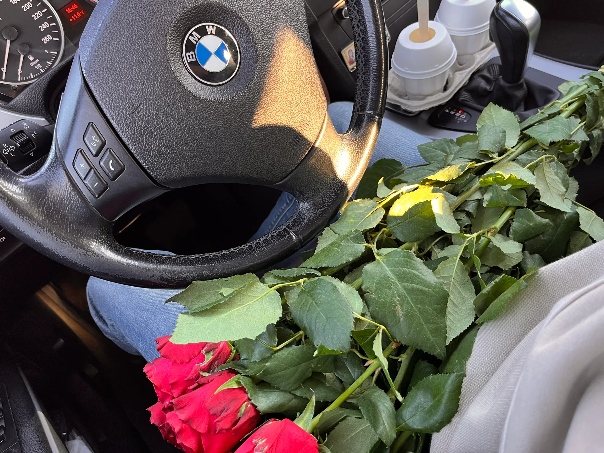 Public de Dalekyi Foto 2