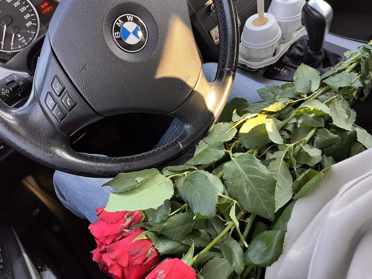 Dalekyi Trendy obrázky 941