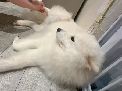 amu_nyan_cute Public Pic 3